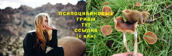 mdpv Нязепетровск