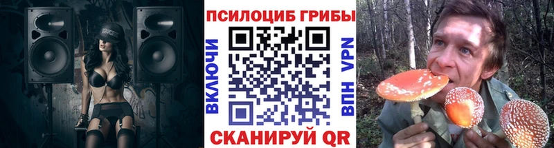 Псилоцибиновые грибы прущие грибы Унеча