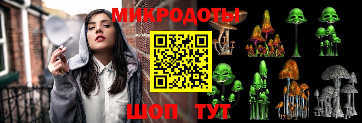Псилоцибиновые грибы GOLDEN TEACHER  Вход с VPN  Унеча  Псилоцибиновые грибы Psilocybine cubensis 
